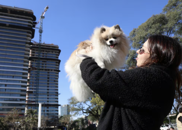 Belgrano y Palermo, los barrios con más alquileres que aceptan mascotas en Buenos Aires